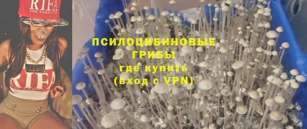 ECSTASY Дмитриев