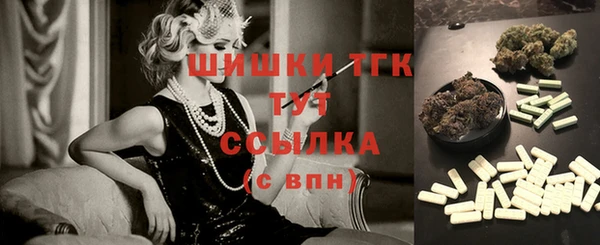 соль ск Дмитров